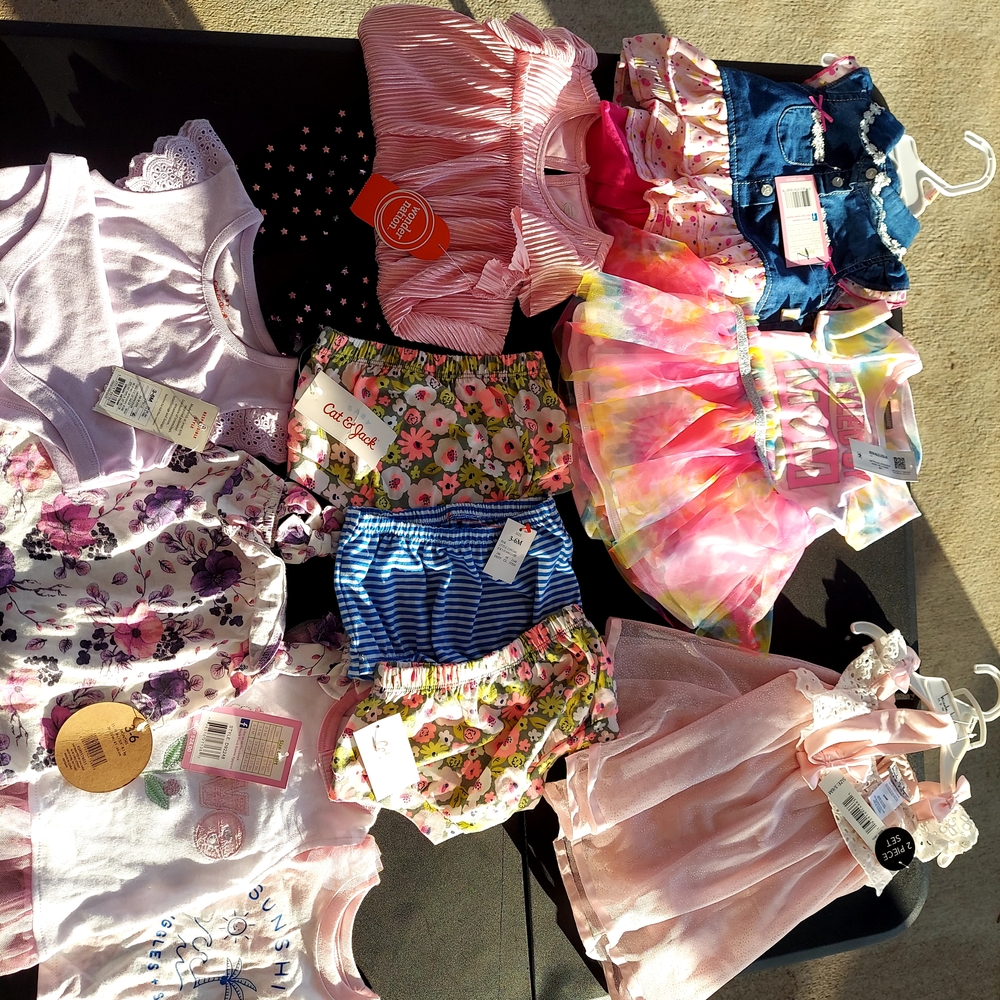 Baby Girl Clothing Lot #5